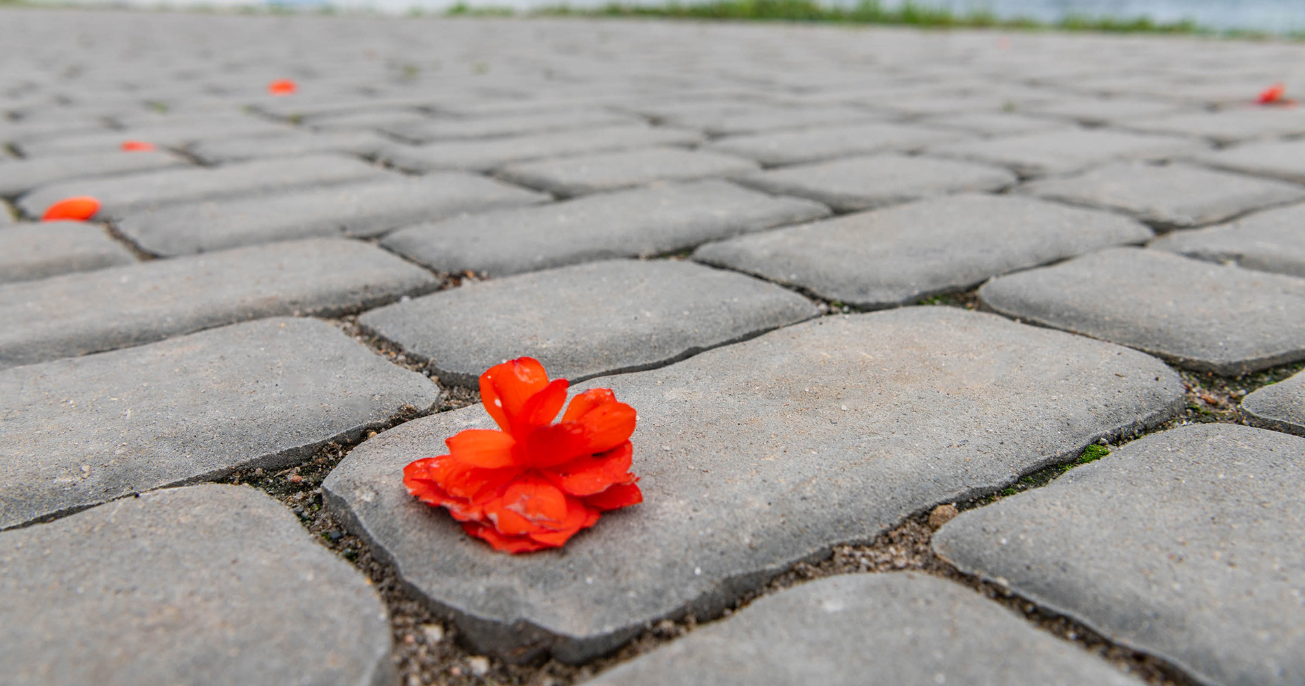 Плитка тротуарная Braer Ривьера Color Mix Туман, h=60 мм