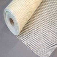 Стеклосетка фасадная Вебер Терм Крепикс 2000 55м