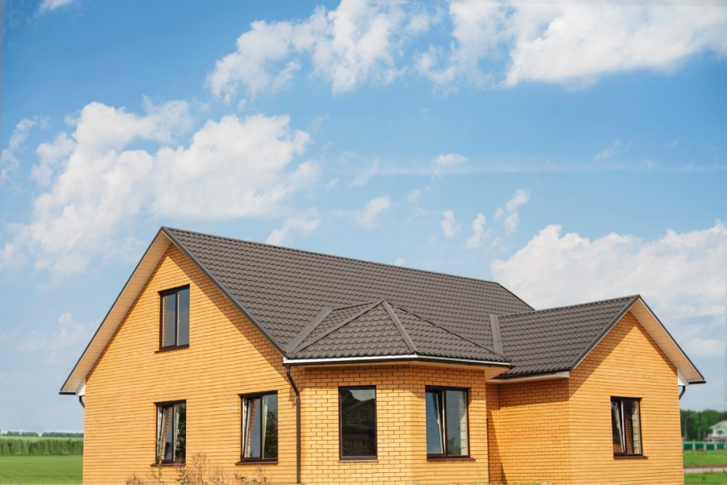 roof 1.jpg