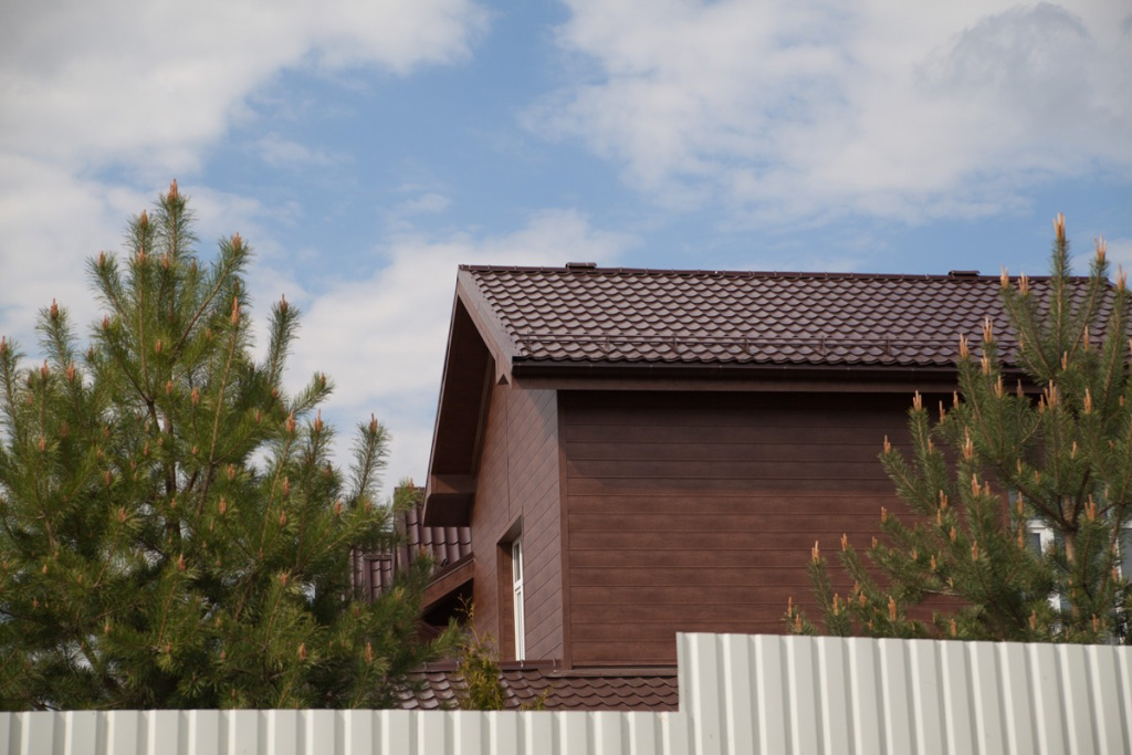 roof 2.jpg